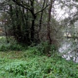 1310F 125 Oberstdorf-Kulmbach